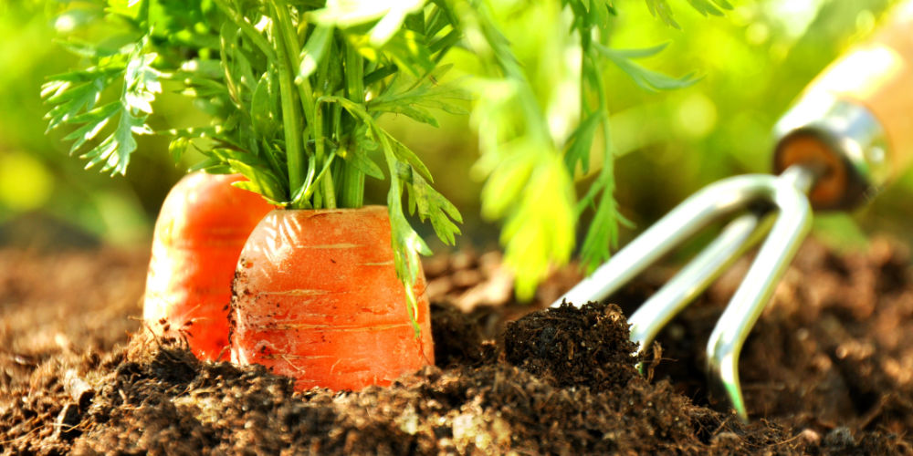 Il gusto è protagonista