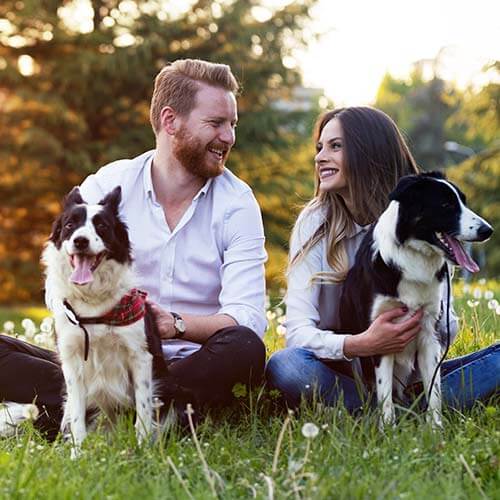 Hotel 5 stelle per vacanze con il cane